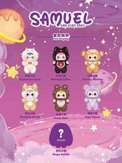Samuel Starlight Night Plush Series blind box